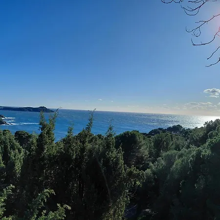 Rez De Jardin T3 Villa, Sainte-marguerite